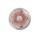 Pink White Flower Glass Wine Stopper (Set Of Two piece)